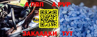 гидра Новодвинск