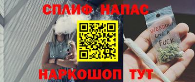 гидра Новозыбков