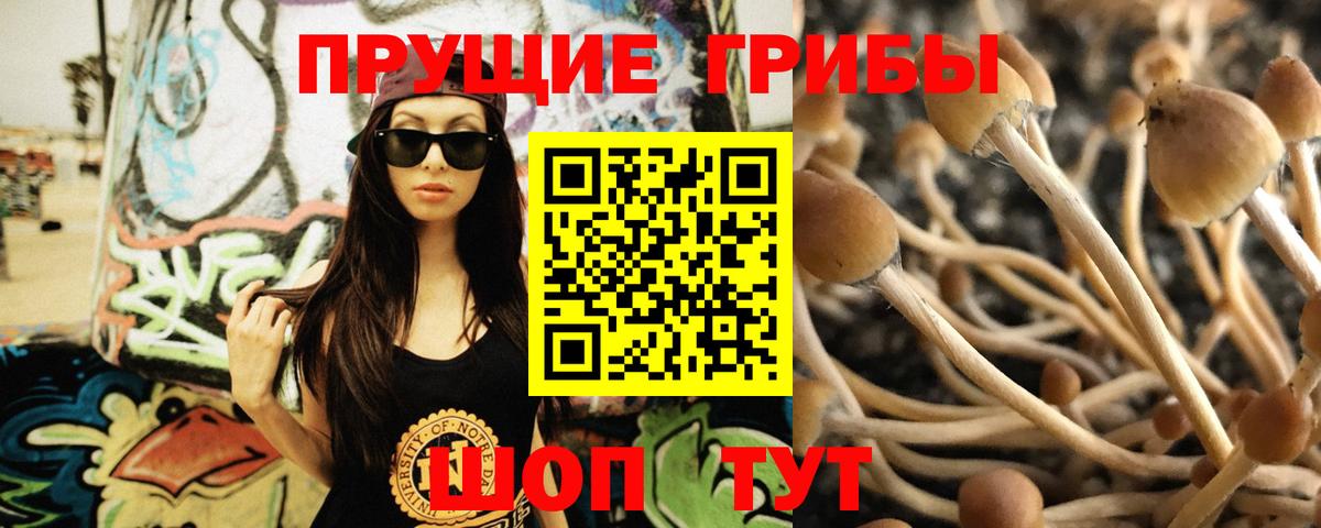 Галлюциногенные грибы Magic Shrooms Урус-Мартан